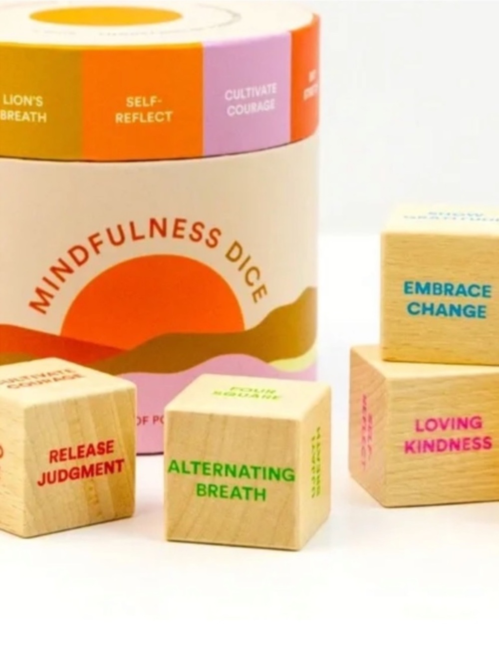 NWOT Mindfulness Dice